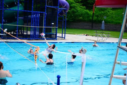 pool volleyball